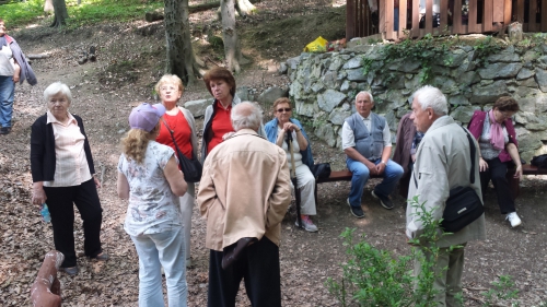 naši seniori