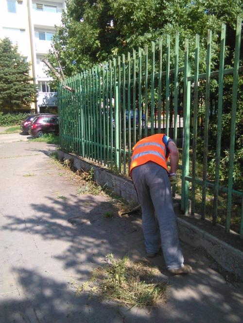 Okolie zastávky MHD Stodolová