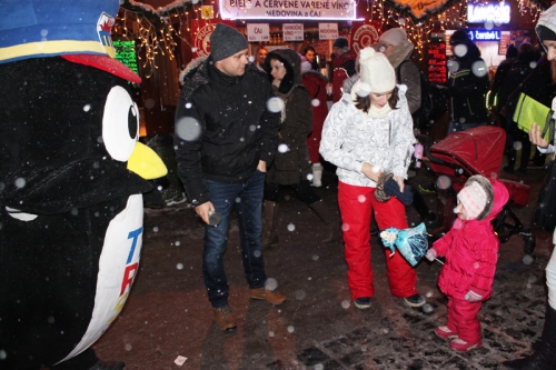 201612121218500.img-0636