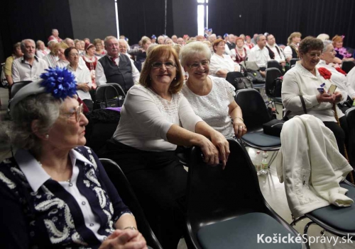 201702241144290.seniorruza14-rozmarin