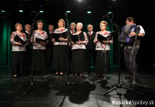 201702241144290.seniorruza27-rozmarin