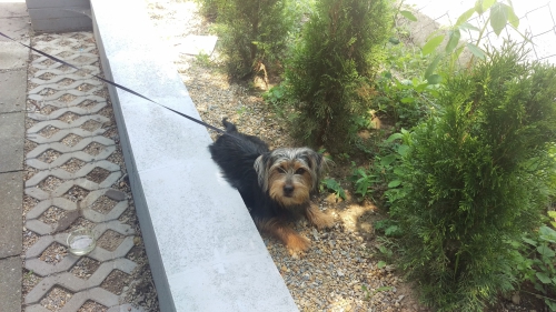 201706291347020.imag3094