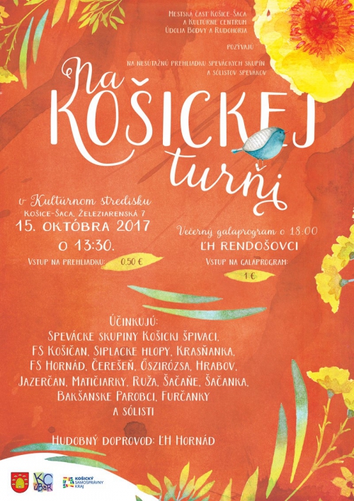 201710041228480.na-kosickej-turni-2017