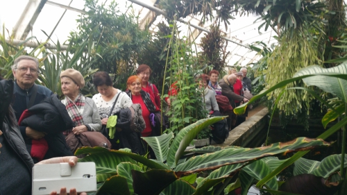 201803061626330.20180305-132850