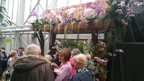 201803061626330.20180305-140824