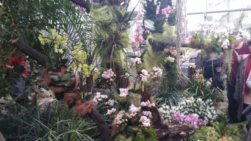 201803061626340.20180305-141112