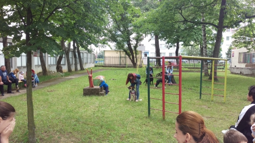 201806051659080.imag0791