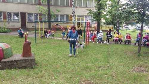 201806051659080.imag0796
