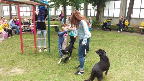 201806051659080.imag0817