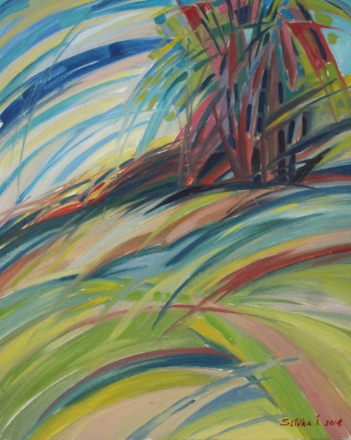 202109201102400.img-8657