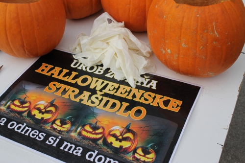 202210240810280.img-7619