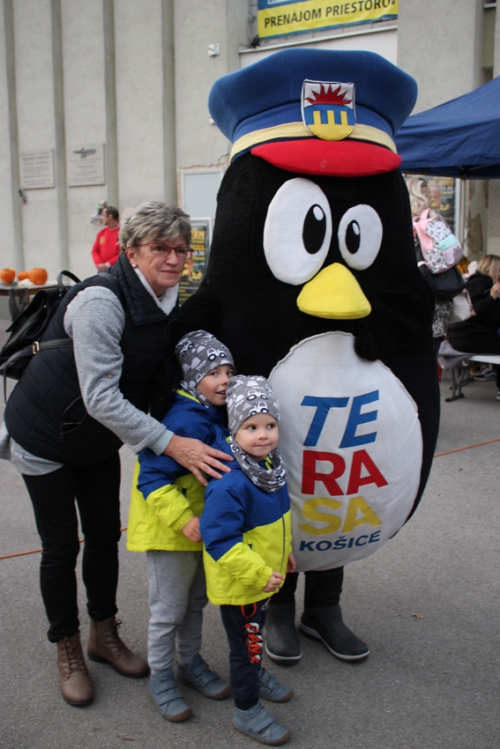 202210240810280.img-7637