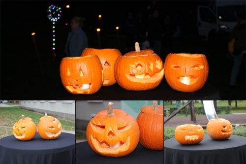 202210240810290.img-7732