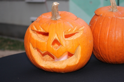 202210240812430.img-7678