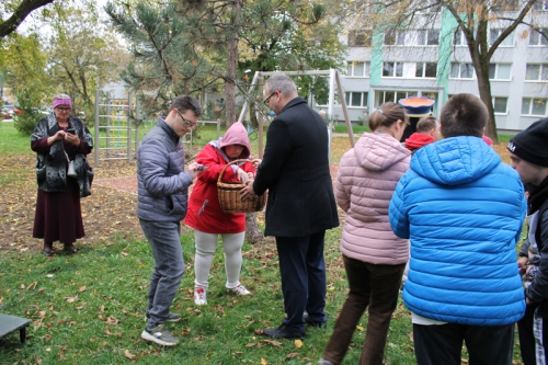 202210241221550.img-7784