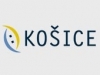 Čiastočné a úplne uzávierky ulíc
